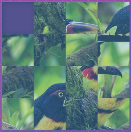 Image Puzzle Game